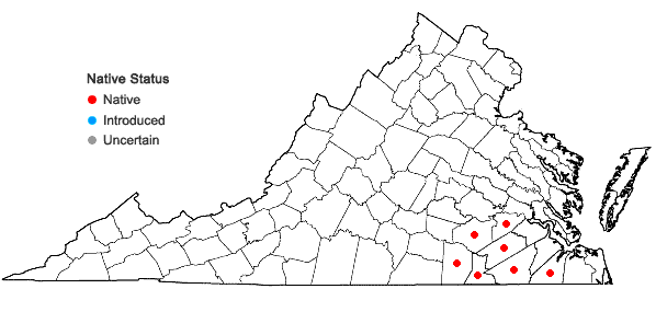 Locations ofAletris aurea Walt. in Virginia