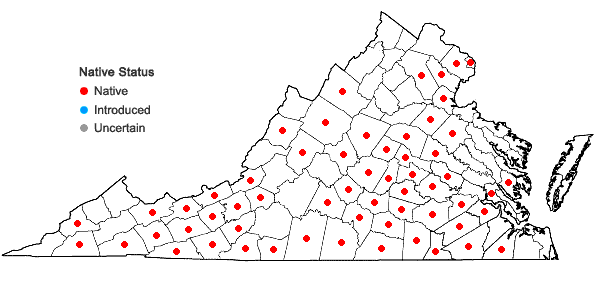 Locations ofAletris farinosa L. in Virginia