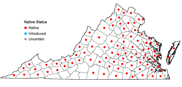 Locations ofAlisma subcordatum Rafinesque in Virginia