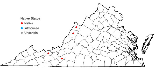 Locations ofAllium allegheniense Small in Virginia