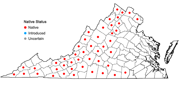 Locations ofAllium cernuum Roth in Virginia
