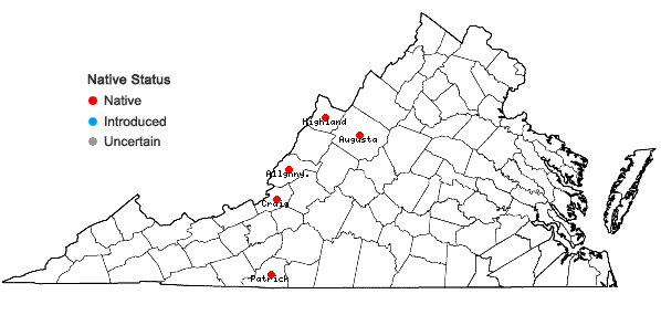 Locations ofAllium oxyphilum Wherry in Virginia