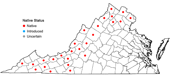 Locations ofAllium tricoccum Ait. in Virginia