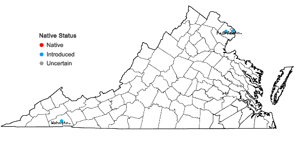 Locations ofAlnus glutinosa (L.) Gaertn. in Virginia