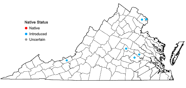 Locations ofAlopecurus geniculatus L. in Virginia