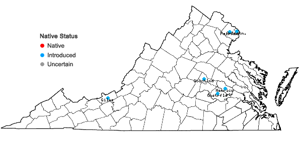Locations ofAlopecurus geniculatus L. in Virginia