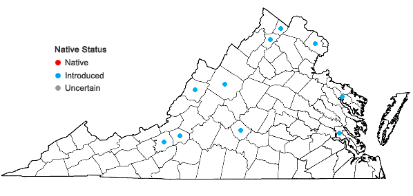 Locations ofAlopecurus pratensis L. in Virginia