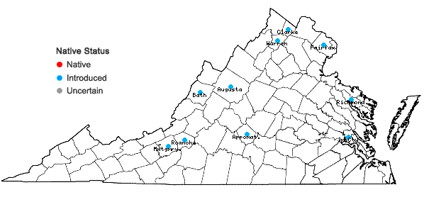 Locations ofAlopecurus pratensis L. in Virginia
