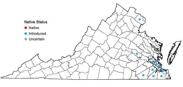 Locations ofAlternanthera philoxeroides (Mart.) Griseb. in Virginia