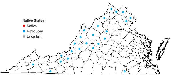 Locations ofAlyssum alyssoides (Linnaeus) Linnaeus in Virginia