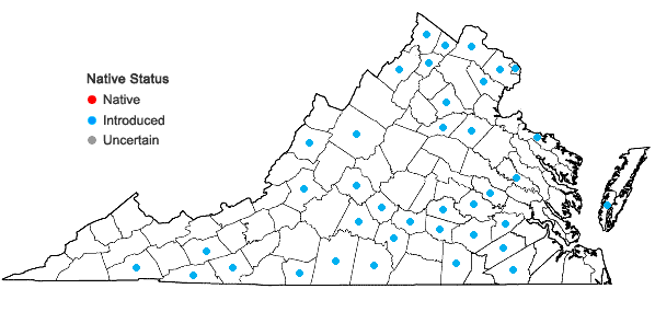 Locations ofAmaranthus albus L. in Virginia