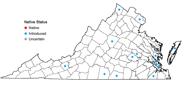 Locations ofAmaranthus blitum L. in Virginia