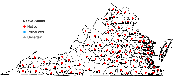 Locations ofAmaranthus hybridus L. in Virginia