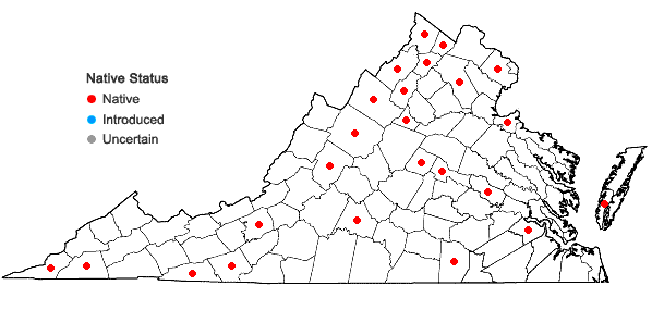 Locations ofAmaranthus retroflexus L. in Virginia