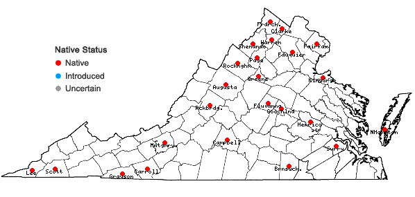 Locations ofAmaranthus retroflexus L. in Virginia