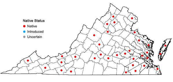 Locations ofAmblystegium serpens (Hedwig) Schimper in Virginia