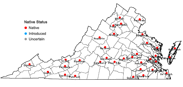 Locations ofAmblystegium serpens (Hedwig) Schimper in Virginia