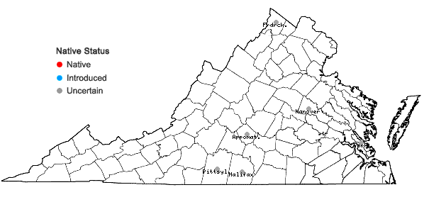 Locations ofAmbrosia bidentata Michx. in Virginia
