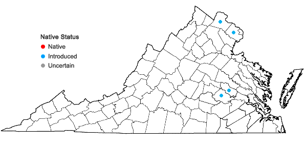 Locations ofAmbrosia psilostachya DC. in Virginia