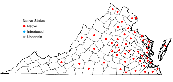 Locations ofAmelanchier canadensis (L.) Medik. in Virginia