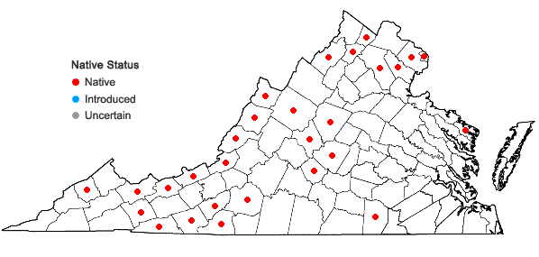 Locations ofAmelanchier laevis Wieg. in Virginia