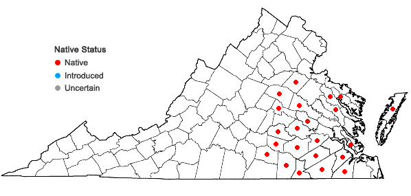Locations ofAmelanchier obovalis (Michx.) Ashe in Virginia