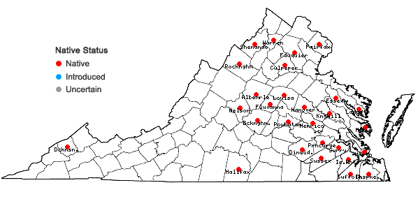 Locations ofAmelanchier spicata (Lam.) K. Koch in Virginia