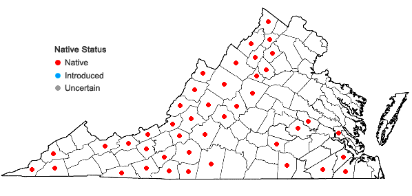 Locations ofAmianthium muscitoxicum (Walt.) Gray in Virginia