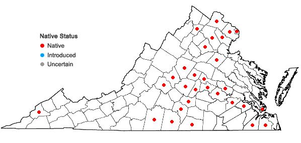 Locations ofAmmannia coccinea Rottb. in Virginia