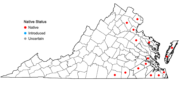 Locations ofAmmannia latifolia L. in Virginia