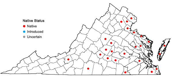 Locations ofAmorpha fruticosa L. in Virginia