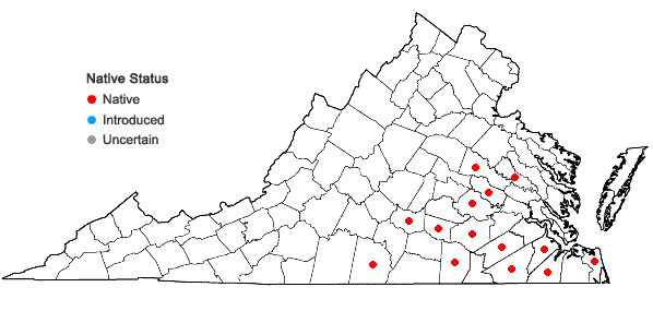 Locations ofAmpelopsis arborea (L.) Koehne in Virginia