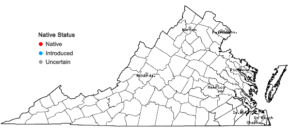 Locations ofAmpelopsis cordata Michx. in Virginia