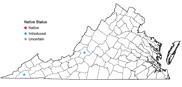 Locations ofAmphiachyris dracunculoides (DC.) Nutt. in Virginia