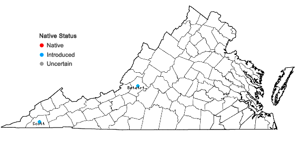 Locations ofAmphiachyris dracunculoides (DC.) Nutt. in Virginia