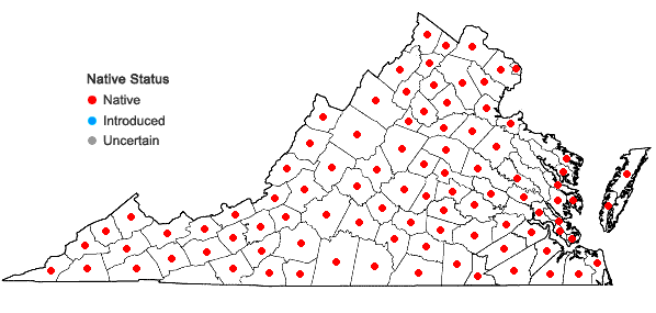 Locations ofAmphicarpaea bracteata (L.) Fern. in Virginia