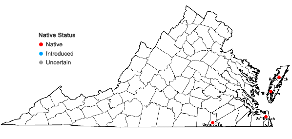 Locations ofAmphicarpum amphicarpon (Pursh) Nash in Virginia