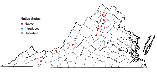 Locations ofAmphidium mougeotii (Bruch & Schimp.) Schimp. in Virginia