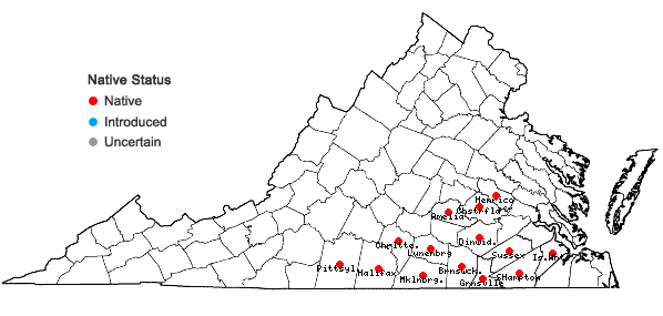 Locations ofAmsonia tabernaemontana Walt. in Virginia