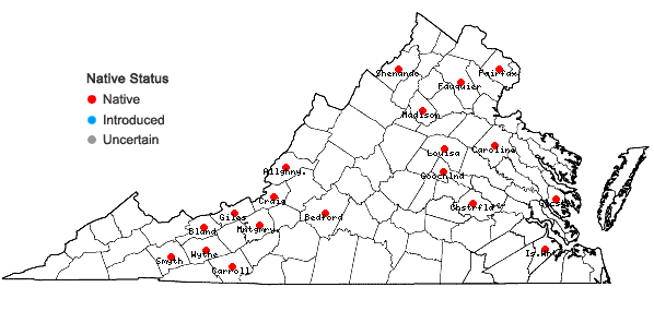 Locations ofAnacamptodon splachnoides (Froel. ex Brid.) Brid. in Virginia