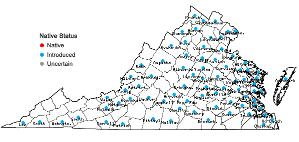 Locations ofAnagallis arvensis L. in Virginia