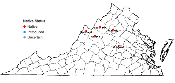 Locations ofAnaphalis margaritacea (L.) Benth. & Hook. f. in Virginia