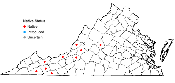 Locations ofAnastrophyllum michauxii (F. Weber) H. Buch ex A. Evans in Virginia