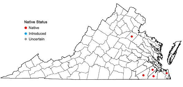 Locations ofAndropogon cretaceus Weakley & Schori in Virginia