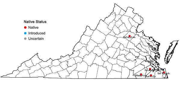 Locations ofAndropogon cretaceus Weakley & Schori in Virginia