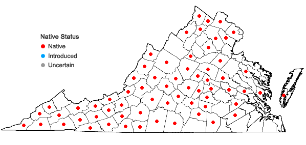 Locations ofAndropogon gerardii Vitman in Virginia