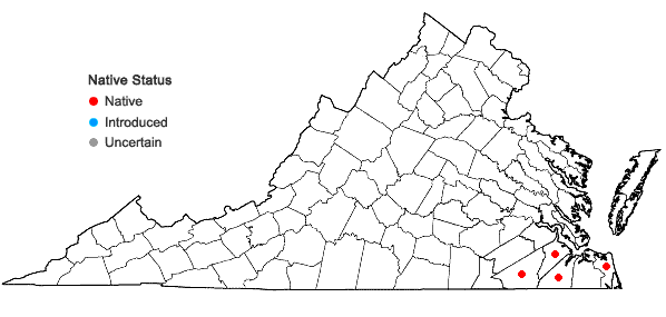 Locations ofAndropogon glaucopsis Ell. in Virginia