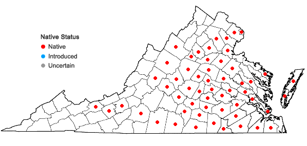 Locations ofAndropogon gyrans Ashe in Virginia