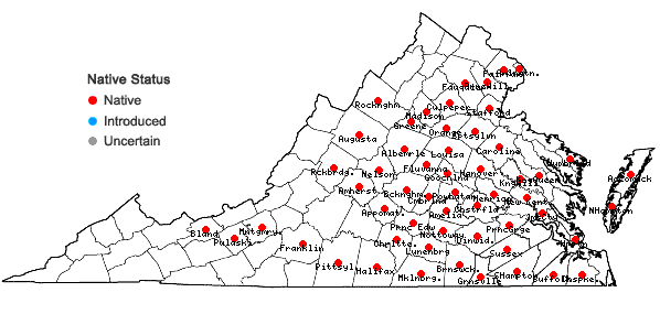 Locations ofAndropogon gyrans Ashe in Virginia