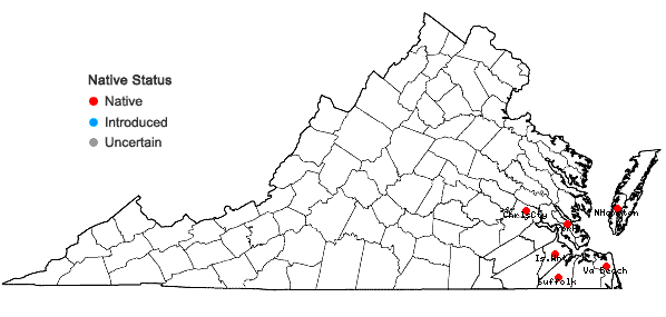 Locations ofAndropogon hirsutior (Hackel) Weakley & LeBlond in Virginia